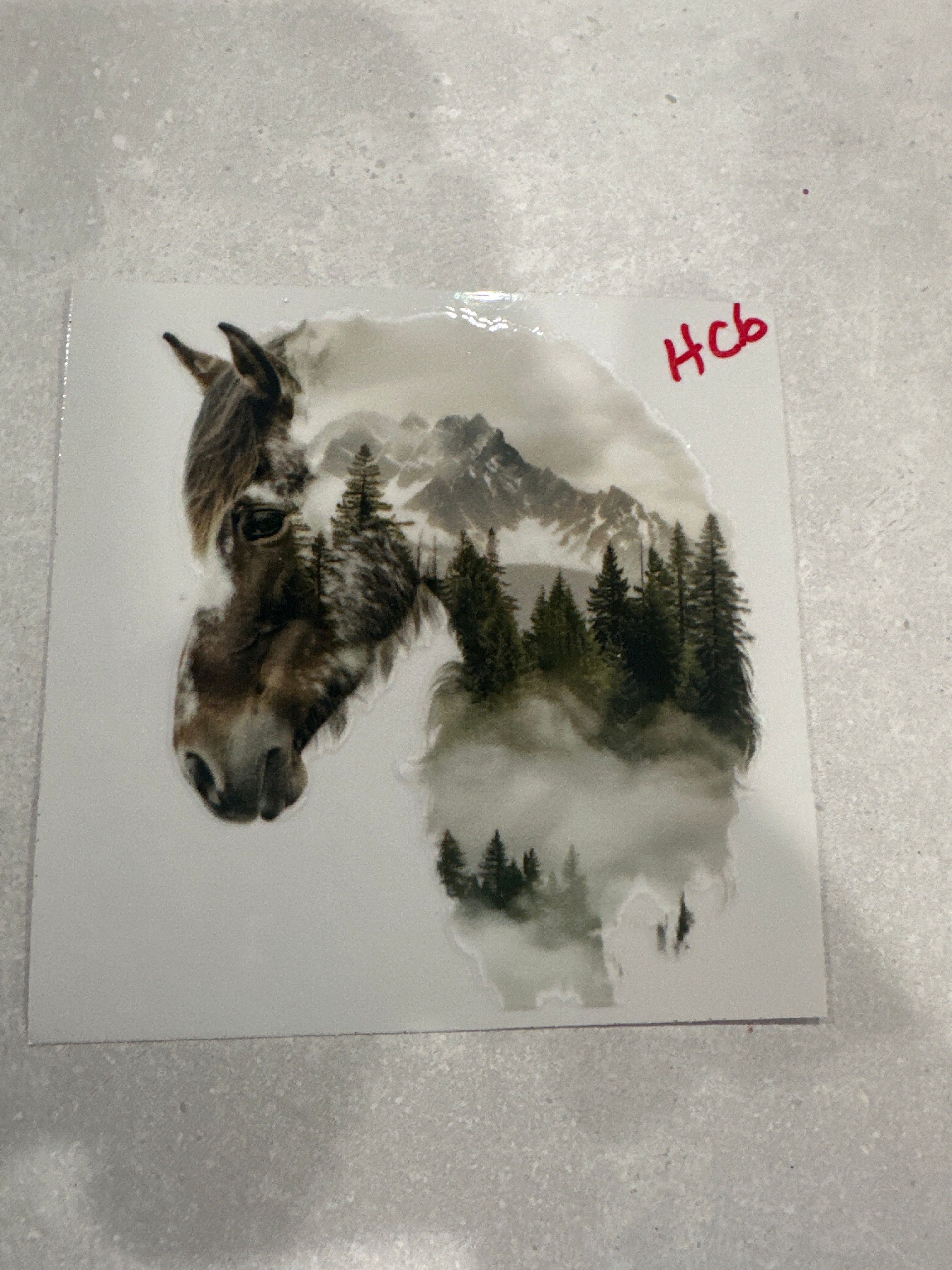 Horses & Cows Decals (Not for Individual Sale)